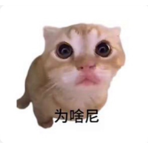 小路