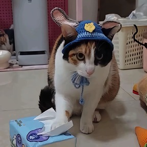 小路